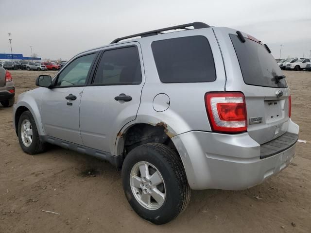 2010 Ford Escape XLT