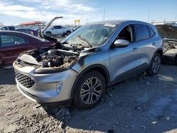 Salvage cars for sale at Cahokia Heights, IL auction: 2022 Ford Escape SEL