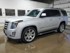 2016 Cadillac Escalade Luxury