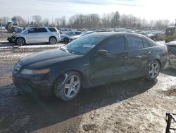 Salvage cars for sale at Chalfont, PA auction: 2006 Acura 3.2TL