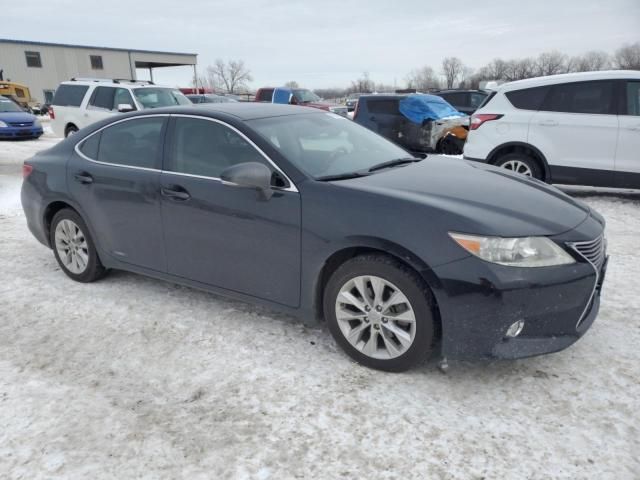 2013 Lexus ES 300H