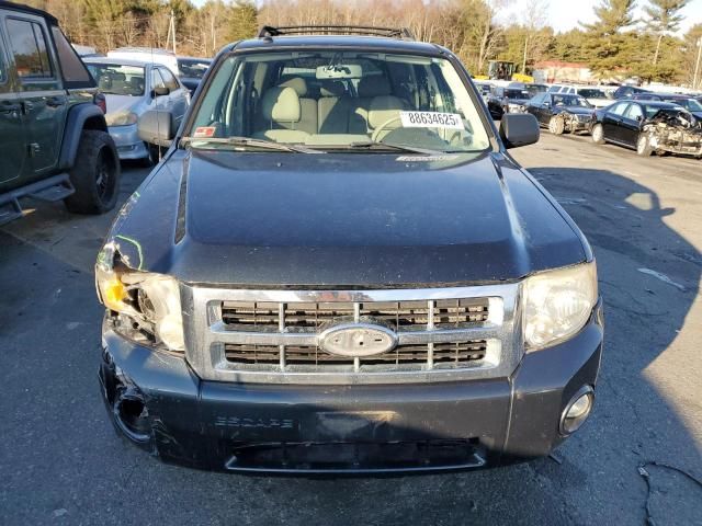 2008 Ford Escape XLT