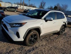 Salvage cars for sale at Oklahoma City, OK auction: 2019 Toyota Rav4 LE