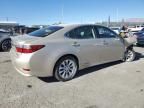 2014 Lexus ES 300H