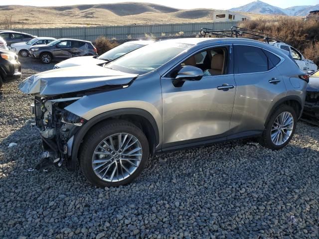 2024 Lexus NX 350H Base