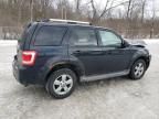 2010 Ford Escape Limited