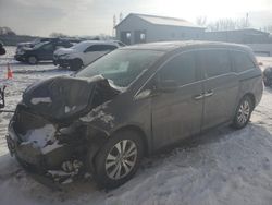 Honda Odyssey exl salvage cars for sale: 2015 Honda Odyssey EXL