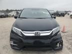 2019 Honda Odyssey EXL