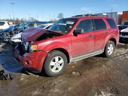 Ford salvage cars for sale: 2010 Ford Escape XLT