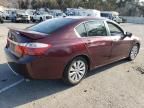 2013 Honda Accord EXL