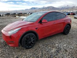 Salvage cars for sale at auction: 2020 Tesla Model Y