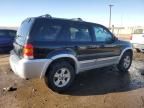 2007 Ford Escape XLT