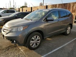 Salvage cars for sale at Wilmington, CA auction: 2013 Honda CR-V EXL