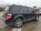 2008 Ford Escape Limited