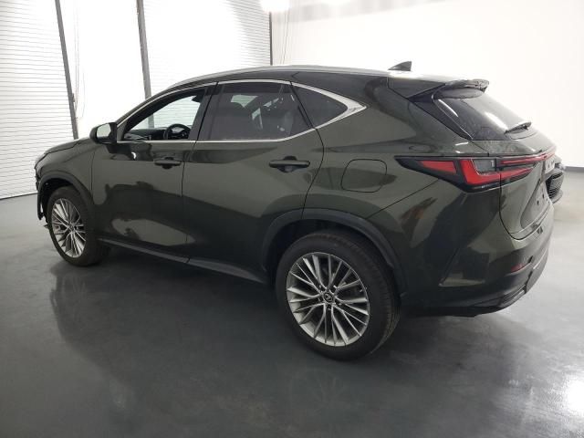 2023 Lexus NX 350H