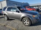 2010 Ford Escape Limited