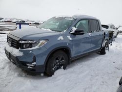 Salvage cars for sale at Brighton, CO auction: 2023 Honda Ridgeline Black Edition