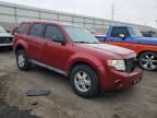 2009 Ford Escape XLS