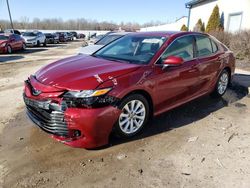 Toyota salvage cars for sale: 2020 Toyota Camry LE