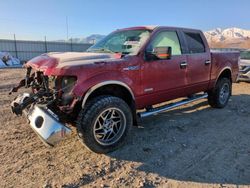 Salvage cars for sale at Magna, UT auction: 2013 Ford F150 Supercrew