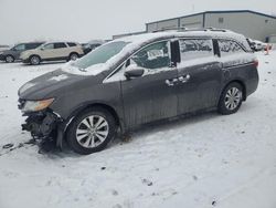 Honda salvage cars for sale: 2014 Honda Odyssey EXL