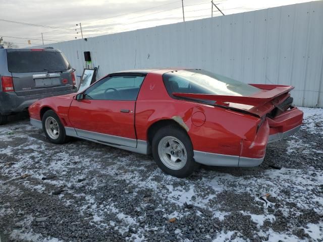 1987 Pontiac Firebird Trans AM