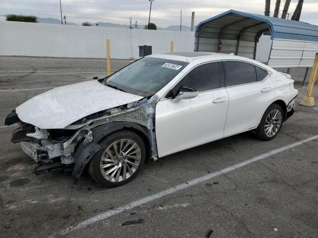 2019 Lexus ES 300H