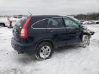 2010 Honda CR-V EXL