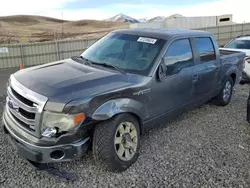 Salvage cars for sale at Reno, NV auction: 2013 Ford F150 Supercrew