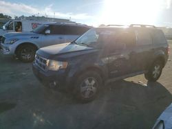 Salvage cars for sale at Martinez, CA auction: 2008 Ford Escape XLT