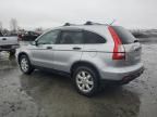 2007 Honda CR-V EX