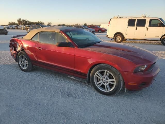 2010 Ford Mustang