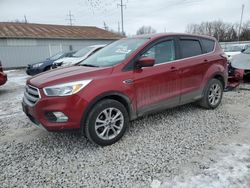 Salvage cars for sale at Columbus, OH auction: 2017 Ford Escape SE