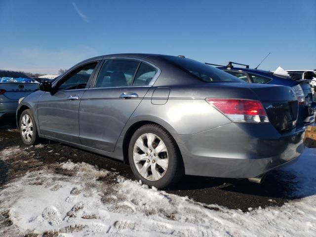 2010 Honda Accord EXL