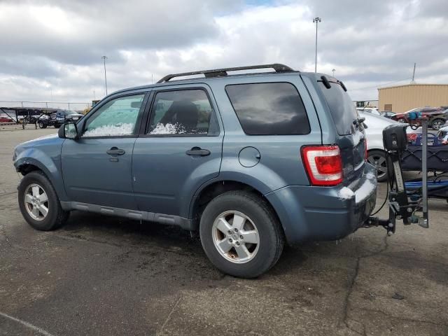 2010 Ford Escape XLT