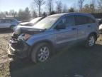 2007 Honda CR-V EX