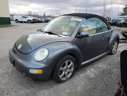 Salvage cars for sale at Angola, NY auction: 2004 Volkswagen New Beetle GLS