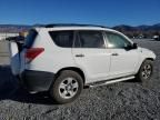 2006 Toyota Rav4