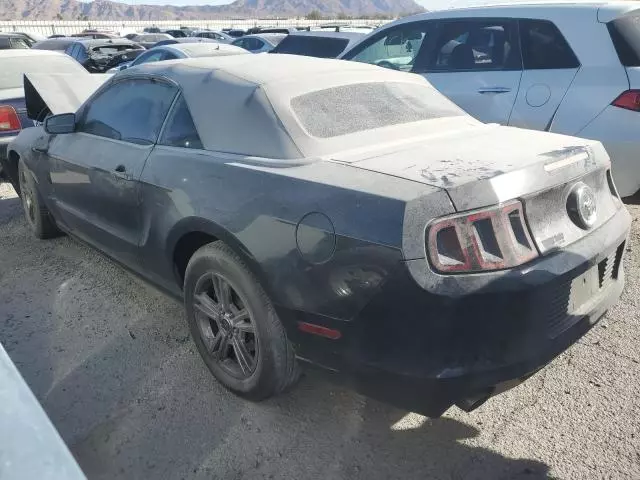 2014 Ford Mustang