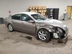 2005 Nissan Maxima SE