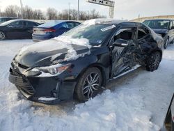 Salvage cars for sale at Columbus, OH auction: 2014 Scion TC