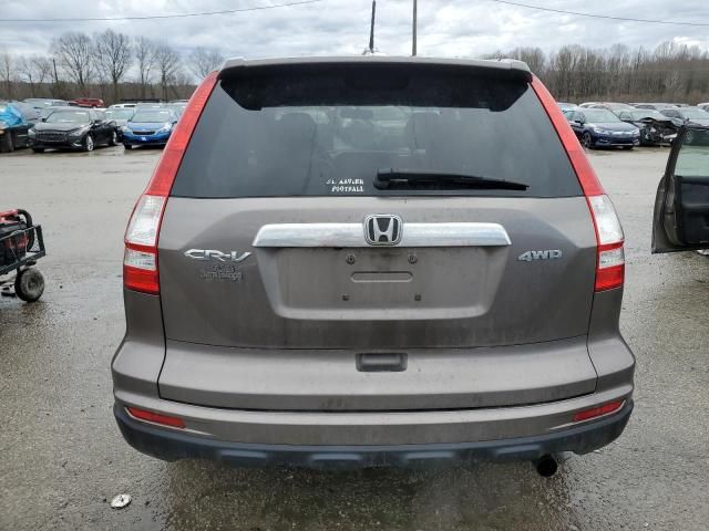 2010 Honda CR-V EXL