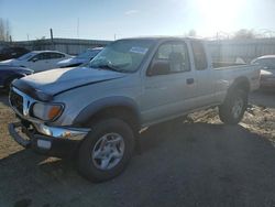 Salvage cars for sale at Arlington, WA auction: 2001 Toyota Tacoma Xtracab