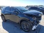 2025 Lexus NX 250 Base