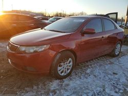 KIA Forte salvage cars for sale: 2012 KIA Forte EX