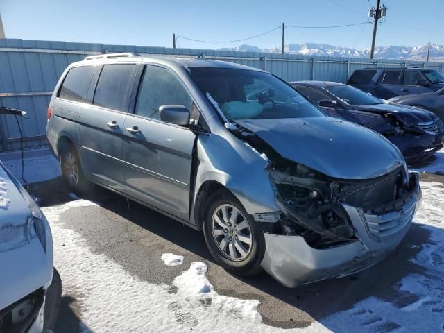 2008 Honda Odyssey EXL