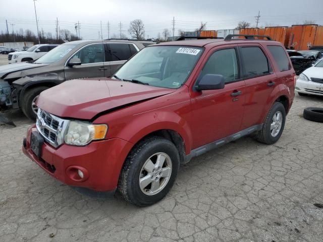 2010 Ford Escape XLT