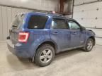 2008 Ford Escape XLT