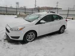 Salvage cars for sale at Chicago Heights, IL auction: 2016 Ford Focus SE