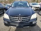 2008 Mercedes-Benz ML 350